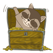 The Great Raccoon Again!