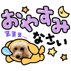 taki_20210530152805
