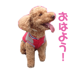 hikari_20210530153341