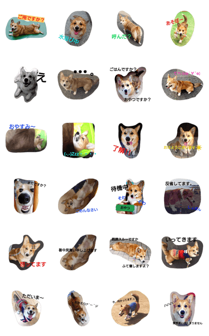 shipponoalucorgisan shipponoalucorgisan