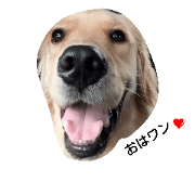 MY NAME IS KOTAROU 2 MY NAME IS KOTAROU 2