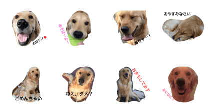 MY NAME IS KOTAROU 2 MY NAME IS KOTAROU 2