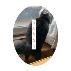 Matsu_20210530124440