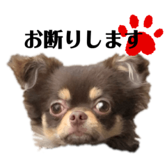 LEONmama_20210530161553