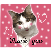 HIMEKICHI&NANA(Daily)