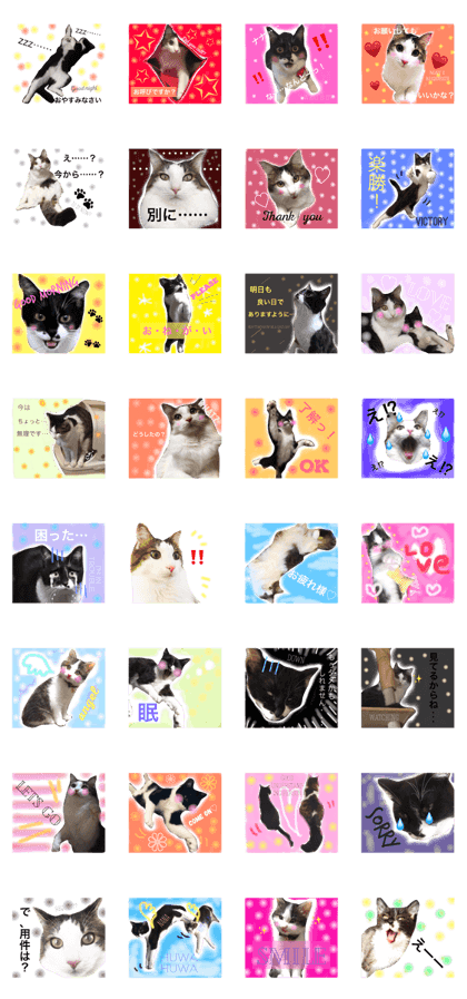 HIMEKICHI&NANA(Daily)