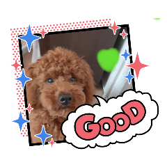 honostamp_20210530102312