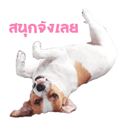 Mini Family Mini Family