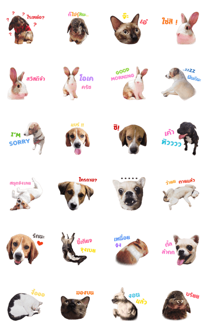 Mini Family Mini Family