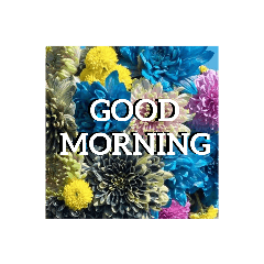 yukari_20210530163346