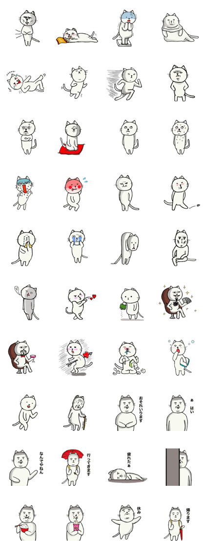 Almost pure white cat