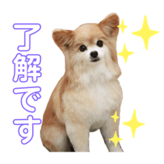 CHIHIRO_20210530200507