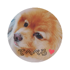 可愛い茶子ちゃん