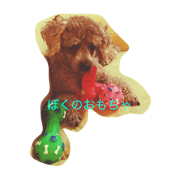 poohnosuke poohnosuke