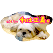 prankOliver(for senior) prankOliver(for senior)