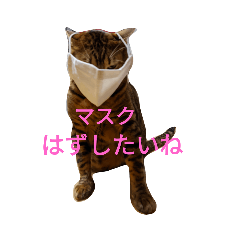 サーヤニャンファミリーと仲間の日常会話