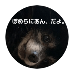 Aoi_20210530234529