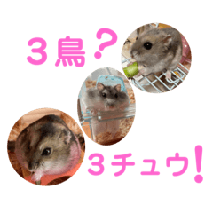 yukimuro_20210531071434