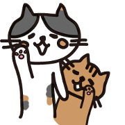 Red tabby and Calico cat Red tabby and Calico cat