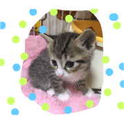 Neiru and Hairu Neiru and Hairu