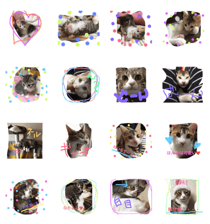 Neiru and Hairu Neiru and Hairu