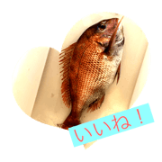 fishermen_20210531082232