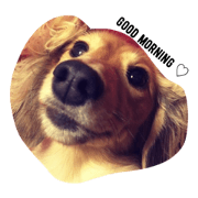 Diary of Riku Diary of Riku