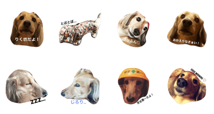 Diary of Riku Diary of Riku