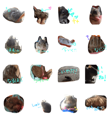 Jerry Degu Jerry Degu