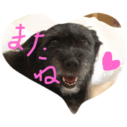 tirotosonotanonakamatati tirotosonotanonakamatati