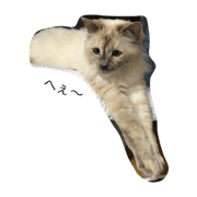 mii mii mii mii mii mii