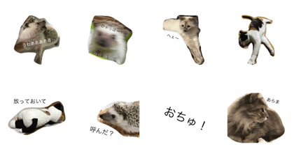 mii mii mii mii mii mii