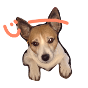 wagayanoMaronsan wagayanoMaronsan