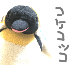 kokekokkopen