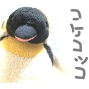 kokekokkopen kokekokkopen