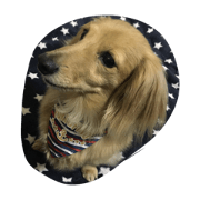 maronkun cute maronkun cute