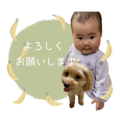 coko__coton sticker