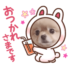 yuina_20210531102949