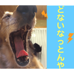 miki_20210530203247