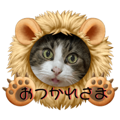 sayuri_20210530204030