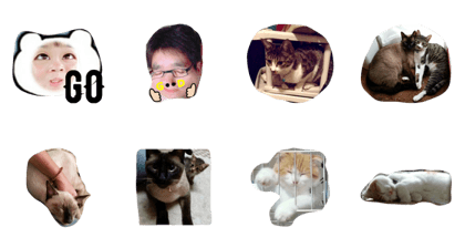 vivavivavivaviva vivavivavivaviva