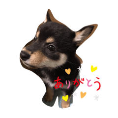 wasabi_20210530195314