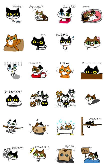 Cat's eye6 Cat's eye6