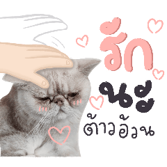 KhaoKhua : One face little girl cat V.1