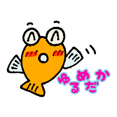 ゆるめだか日記☘