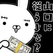 Suspect Yamaguchi rabbit