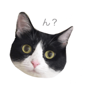 natsuko stamp natsuko stamp