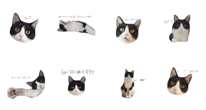 natsuko stamp natsuko stamp