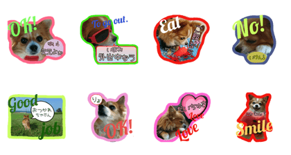 lovely dog. He name is Ren.