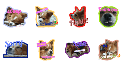 lovely dog. He name is Ren.part2 lovely dog. He name is Ren.part2